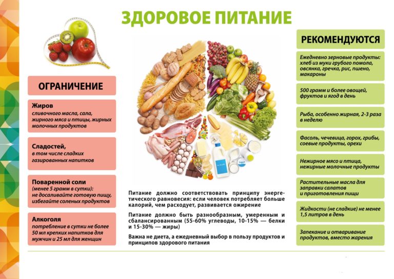 Информация об условиях питания обучающихся.